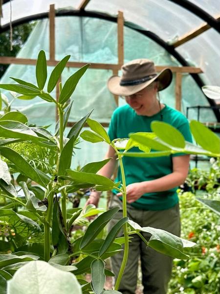 Grangetown Kitchen Garden